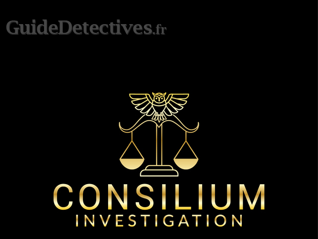 CONSILIUM INVESTIGATION-02.jpg